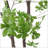 ARTIFICIAL DISC LEAF TREE-312654925
