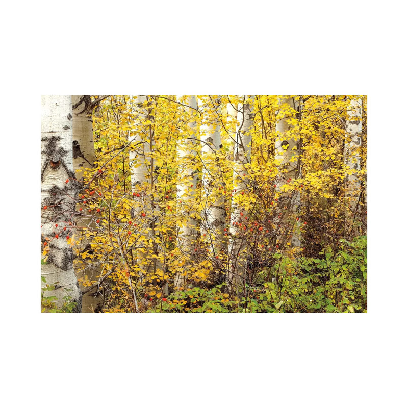 Hiding by Janel Pahl - Wrapped Canvas Print, 66.04 cm H x 45.72 cm W x 3.175 cm D