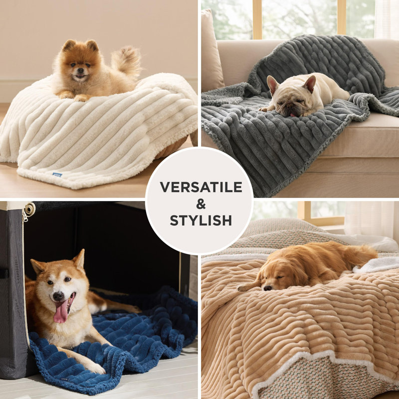 Couvre-lits imperméables pour la literie pour chien - Doux pour chiot, couverture en velours côtelé pour la protection du canapé