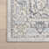 Cady SpinClean Machine Washable Transitional Area Rug