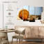 Sand Seashells-108745271