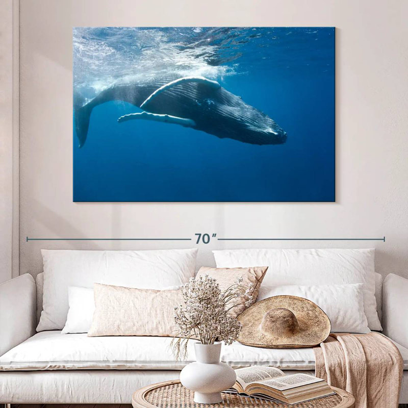 Brampt Humpback Whale
