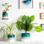 Nicola Spring - Reactive Glaze Plant Pot-63880883-63880888