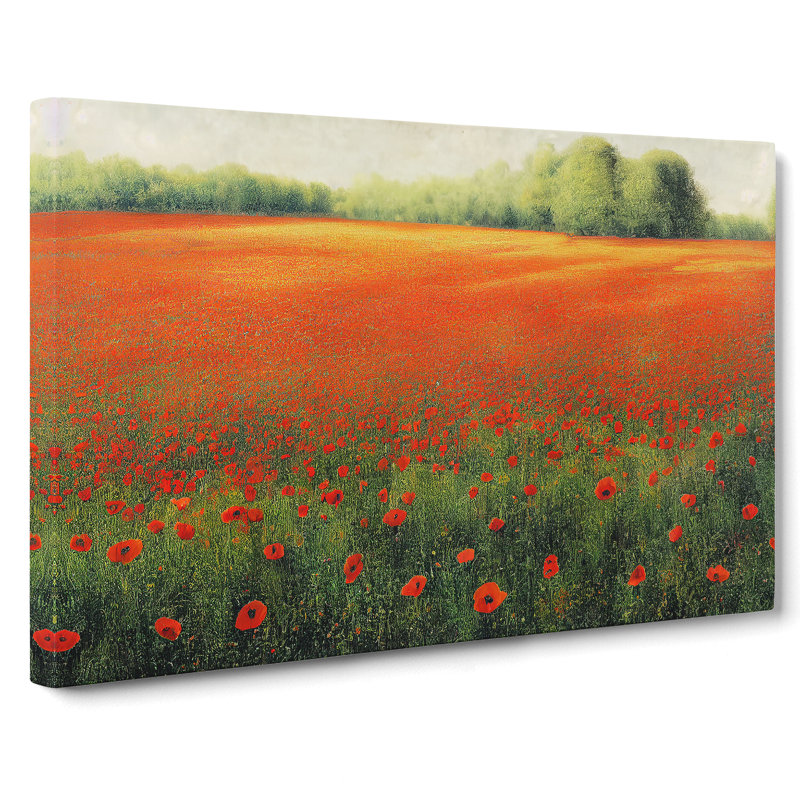 Creative Poppy Field Flowers - Wrapped Canvas, 35cm H x 50cm W x 3cm D