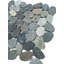 Fossil Blue Natural Sea Pebbles Mosaic for Wall & Floor Tile 12"X12"
