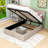 Salgado Upholstered Platform Bed with Hydraulic Storage