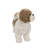 Standing Shih Tzu