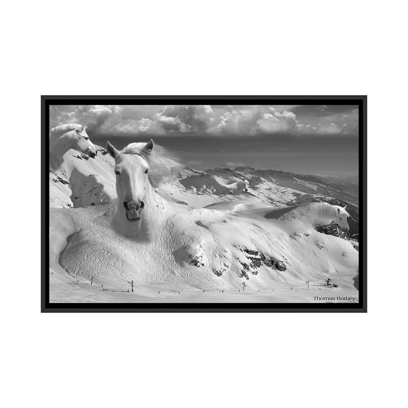 " Icy Studs " by Thomas Barbey, Black Framed Canvas, No Mat, 18" H x 26" W x 1.5" D