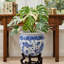 Round Ceramic Planter