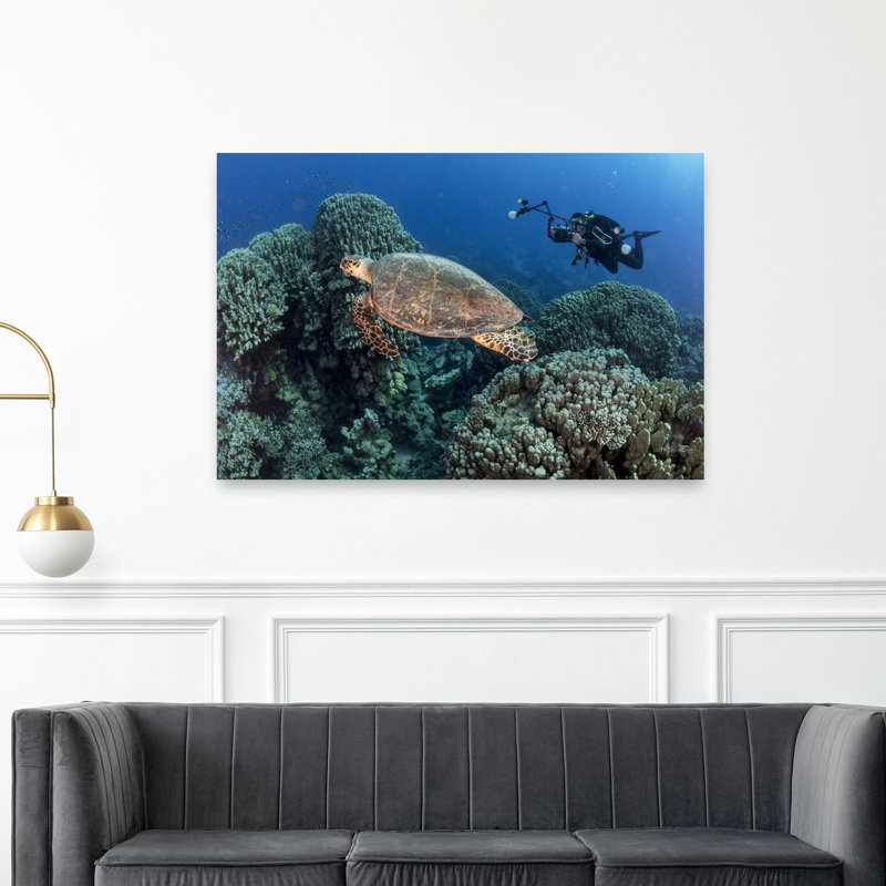 Tortue sous-marine et tortue de plongeur, impression d'art mural nature océan, 40" H x 60" W