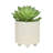 S/2 6/8" Textured Planters Flower Pot-253027064
