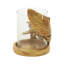 Glass Hurricane Lamp-84006566