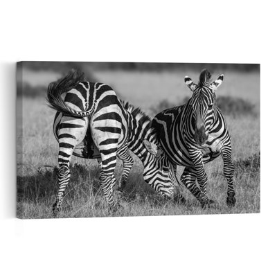 Playful Zebras Contemporary Zebra Wall Art Print 1 Piece Wrapped Canvas Wall Art
