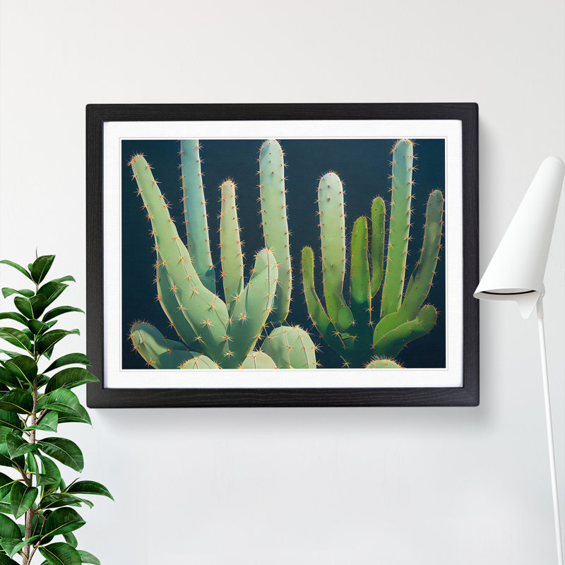 Enthralling Cactus - Single Picture Frame Painting, Black , 46cm H x 64cm W x 2cm D