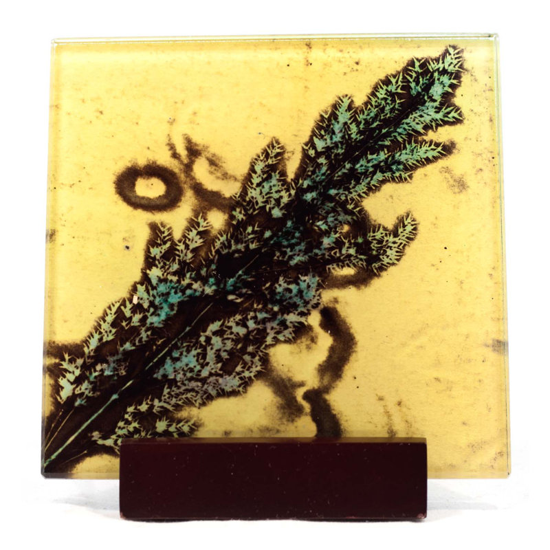 Glass Square 1 Piece Coaster