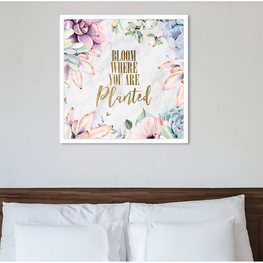Where You are Planted - Graphic Art Print