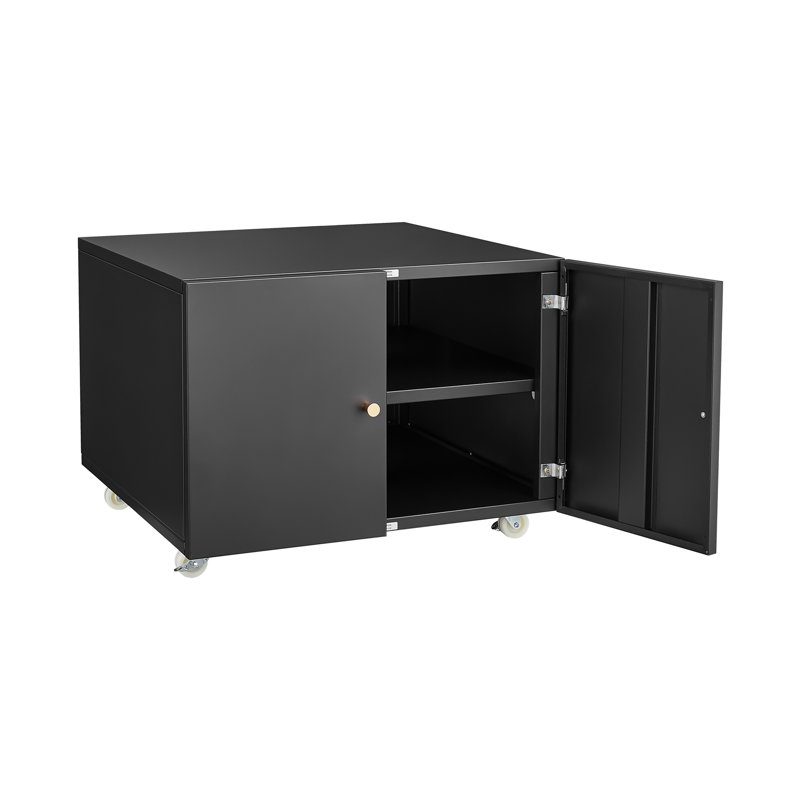 Armoire pour imprimante noire en acier à 2 portes avec surface lisse et séparateurs amovibles à hauteur réglable