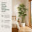 63 inches Artificial Bamboo Palm Tree in Nursery Pot