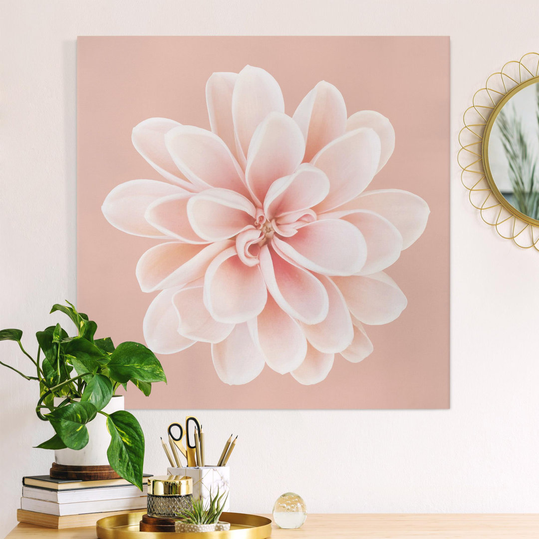 Leinwandbild Dahlia Pink Pastel White Centered