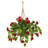 Geranium Hanging Basket Arrangement in Basket