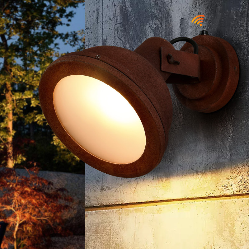 Samav 20cm H Outdoor Barn Light with Dusk to Dawn, Rust