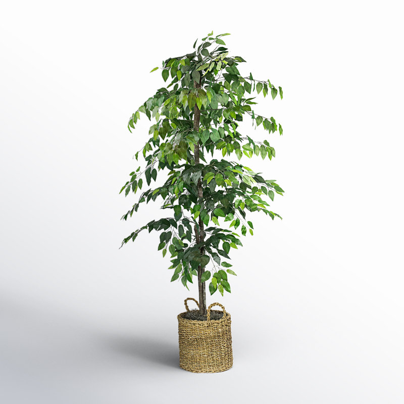 72" Artificial Ficus Tree in Basket