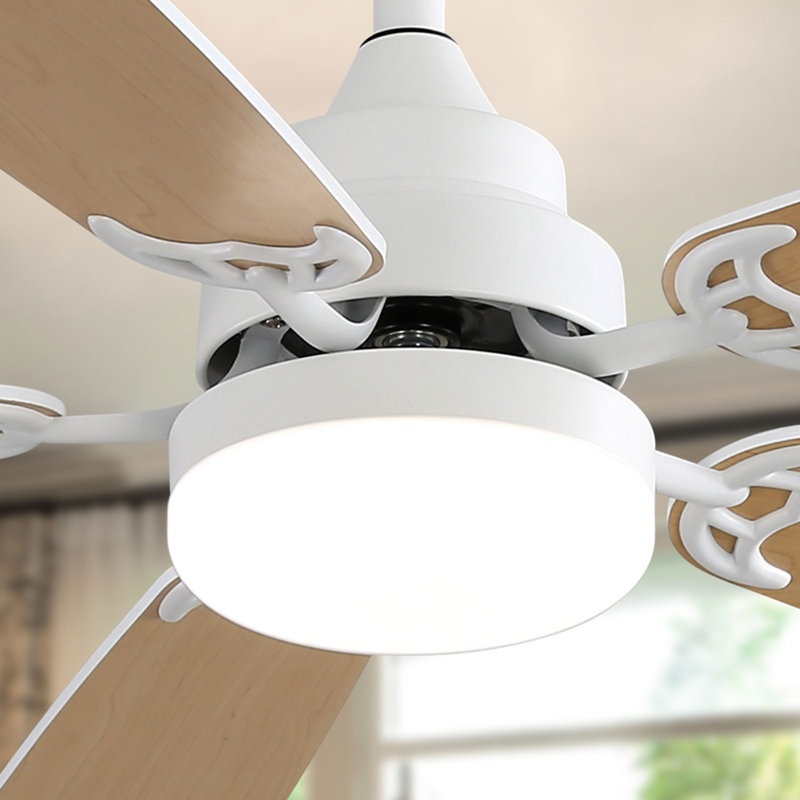 Lieschen 52'' Ceiling Fan with LED Lights, Natural, White