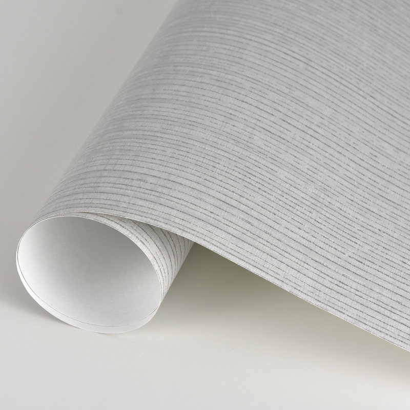 Rouleau de papier peint uni L 33 pi x l 20,5 po Olivos, Gris