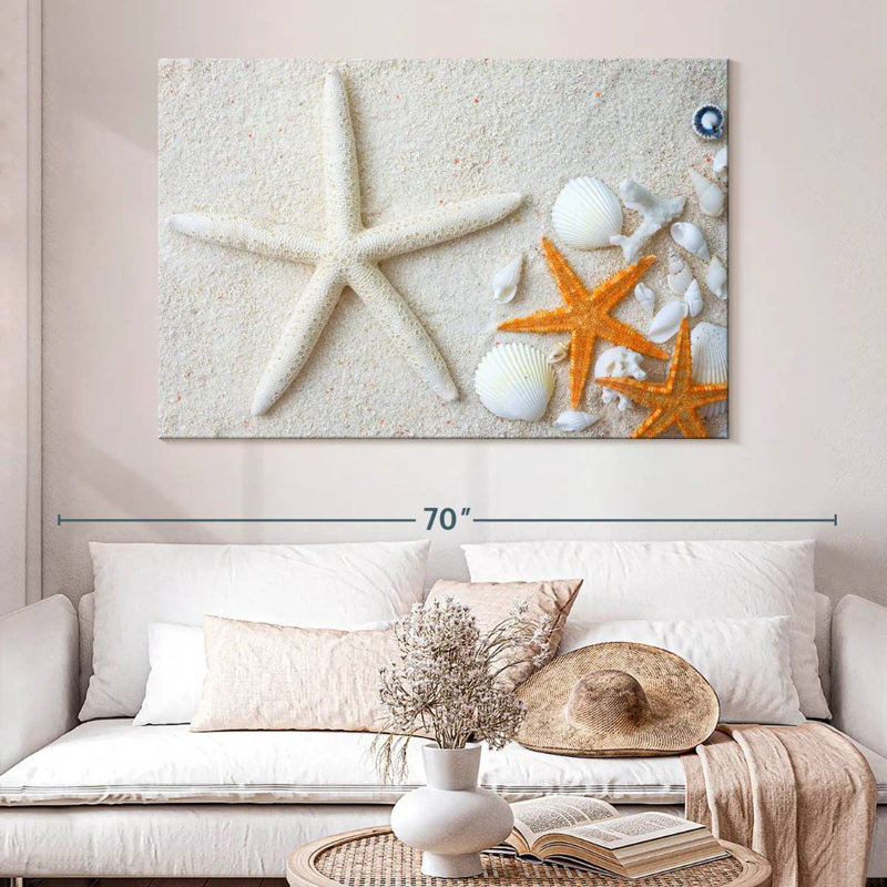 Swept ashore seashells Aletra, H 34 po x l 51 po