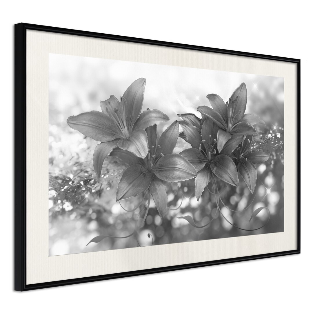 Gerahmter Fotodruck Dark Lillies