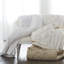 Quilted Blanket-1706724536-1706724539