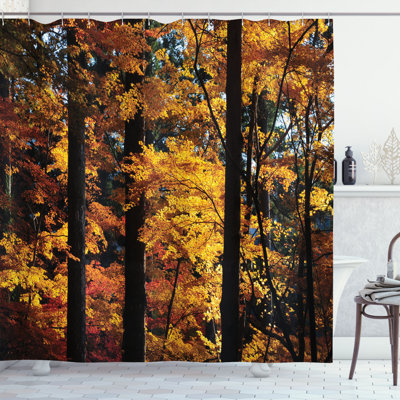 Shower Curtain with Hooks Included