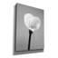 «Calla No. 2» par PhotoINC Studio-1319806672