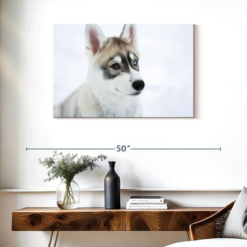 Brampt Glaring Husky, 24" H x 36" W