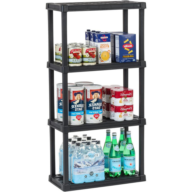 4-Tier Floor Mount Plastic Shelving Unit, Modular Garage Rack Storage Organizer for Laundry & Utility Room, 12"D x 24"W x 48"H - Black