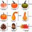 Thanksgiving No Animal(s) Decorative Accent