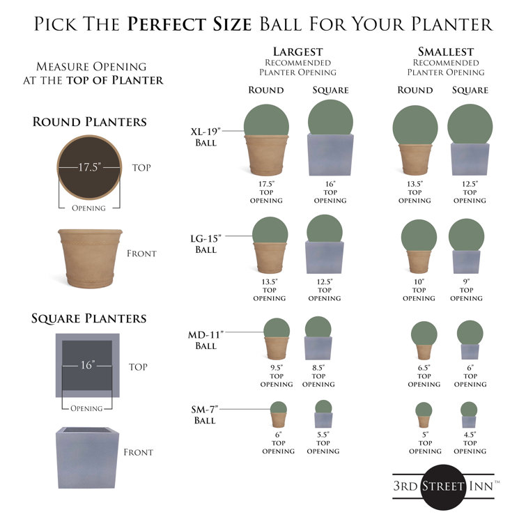 11 Medium Boxwood Topiary Ball – 3rd Street Inn Greenery