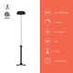 Daveney Single Light Dimmable LED Pendant