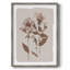 Impression botanique encadrée monochrome II - bois massif 50192-1809210494