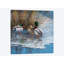 «Three Ducks on Ice», impression sur toile-29479928-73647997-73648002
