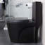 Toilette allongée une pièce Tyrone 8 GPF (siège inclus)-48700546
