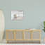 Conque reposant sur un endroit calme-69571346-69571351