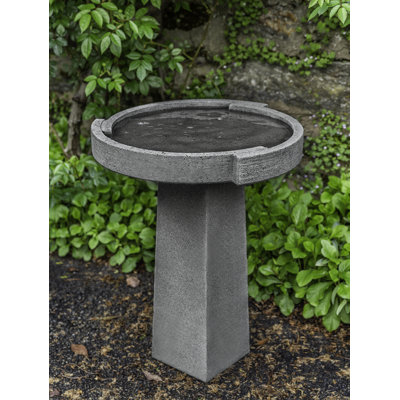 Concept Birdbath
