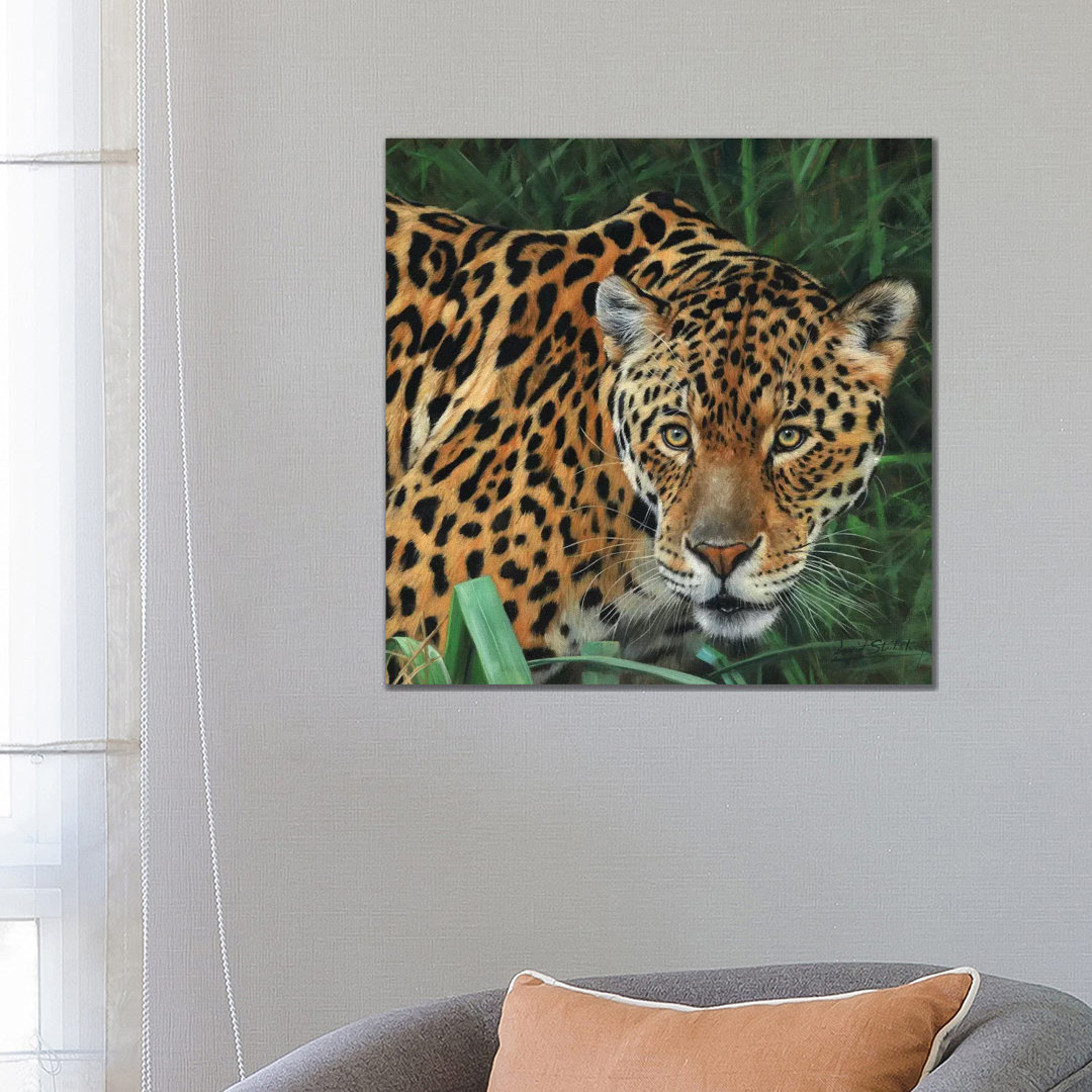 Jaguar Big Cat II von David Stribbling - Galerie-umwickelte Leinwand Giclée auf Leinwand