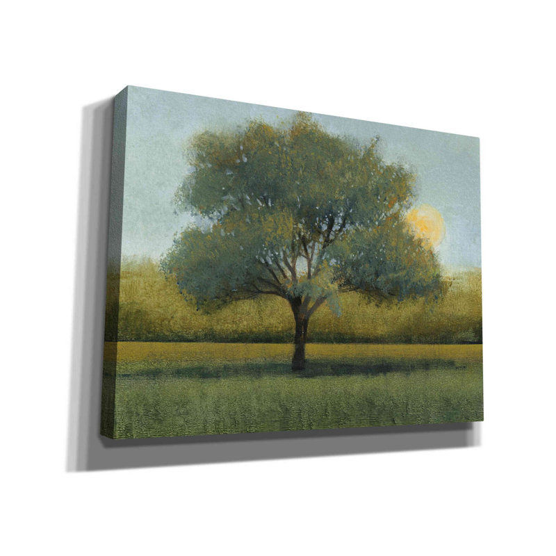 «Sunrise I» par Tim O'toole, art mural sur toile, H 26 po x l 34 po x P 1,5 po