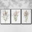 Ensemble de 3 pièces encadrées sur toile "Dicat Botanical I"-97754388-97754389