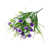 Purple sélectionné