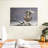 Peregrine Falcon-107673285
