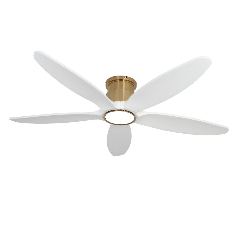 52 Inch Indoor Outdoor Flush Mount Ceiling Fans With Lights Remote Control, Quiet Dc Motor 5 Blade Modern White Gold Ceiling Fan For Bedroom Living Room Patio