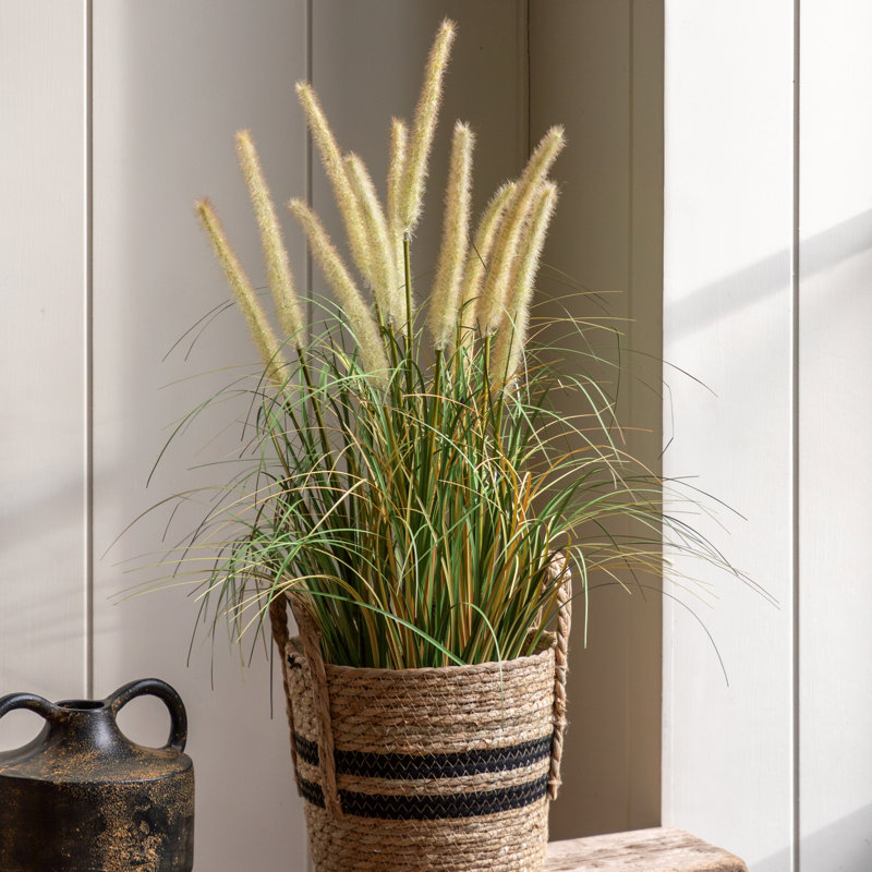 Potted Grass with Cattail Seed Heads (5pk), 57'' H x 43'' W x 43'' D